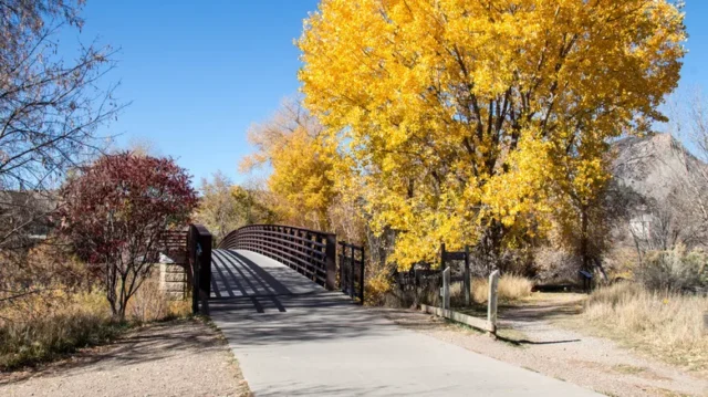 e81c9d20dc0d2ea9ad6d70d94f103acf